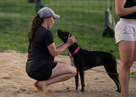 KC Crew Sand Volleyball 2025 Nicole Bissey Photography 28_(2048)